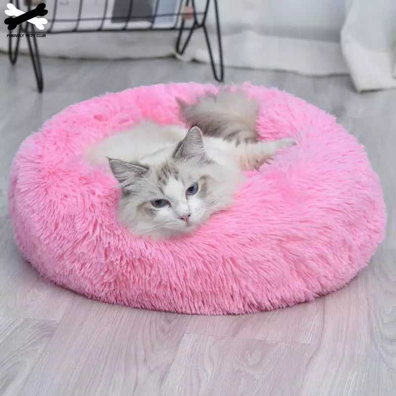 Comfy and warm pet bed🐕🐈⭐