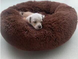 Comfy and warm pet bed🐕🐈⭐